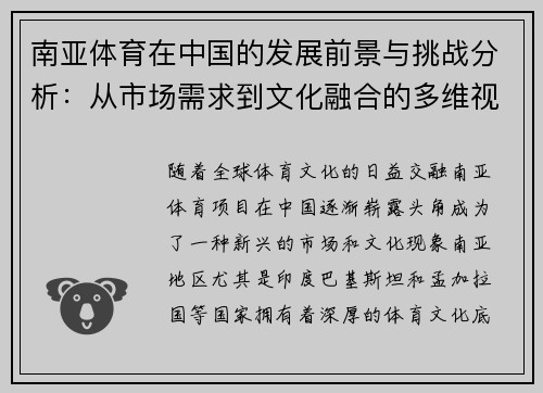 南亚体育在中国的发展前景与挑战分析：从市场需求到文化融合的多维视角